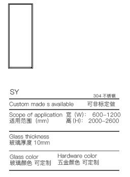 SY100简图